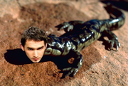Miha mladi salamander